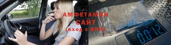 прущие грибы Липки