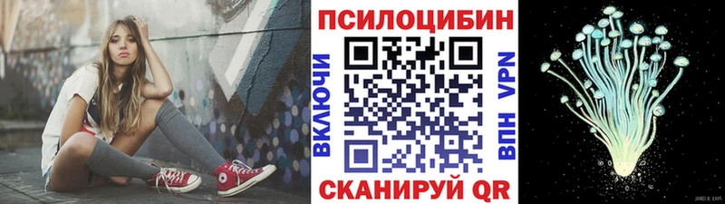 Псилоцибиновые грибы Psilocybe  Называевск 