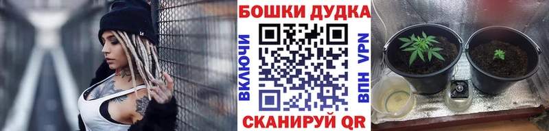 Марихуана OG Kush Называевск